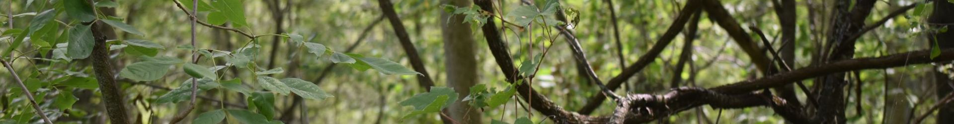 Menasha, WI Shutterstock 1783547855 Cropped